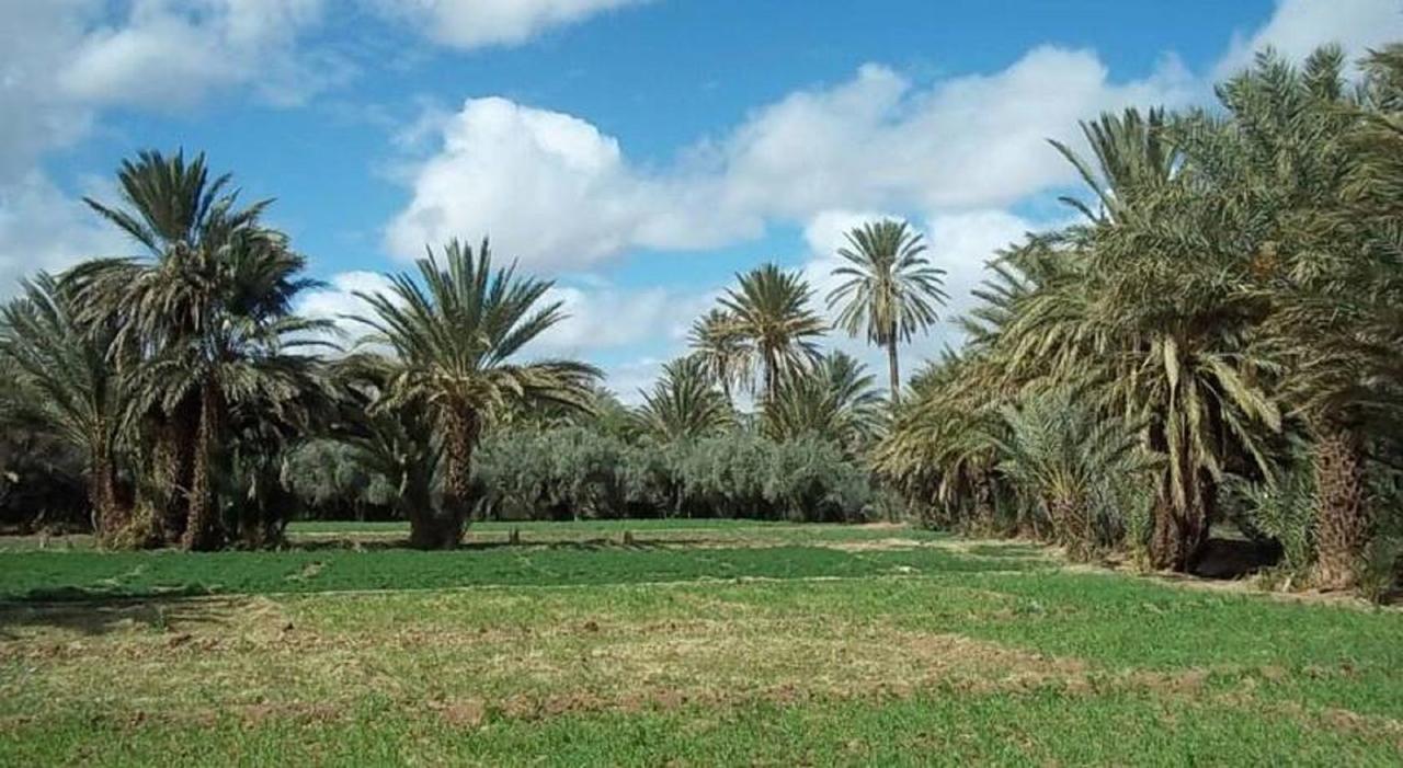 Riad Sarayas Tajda Εξωτερικό φωτογραφία