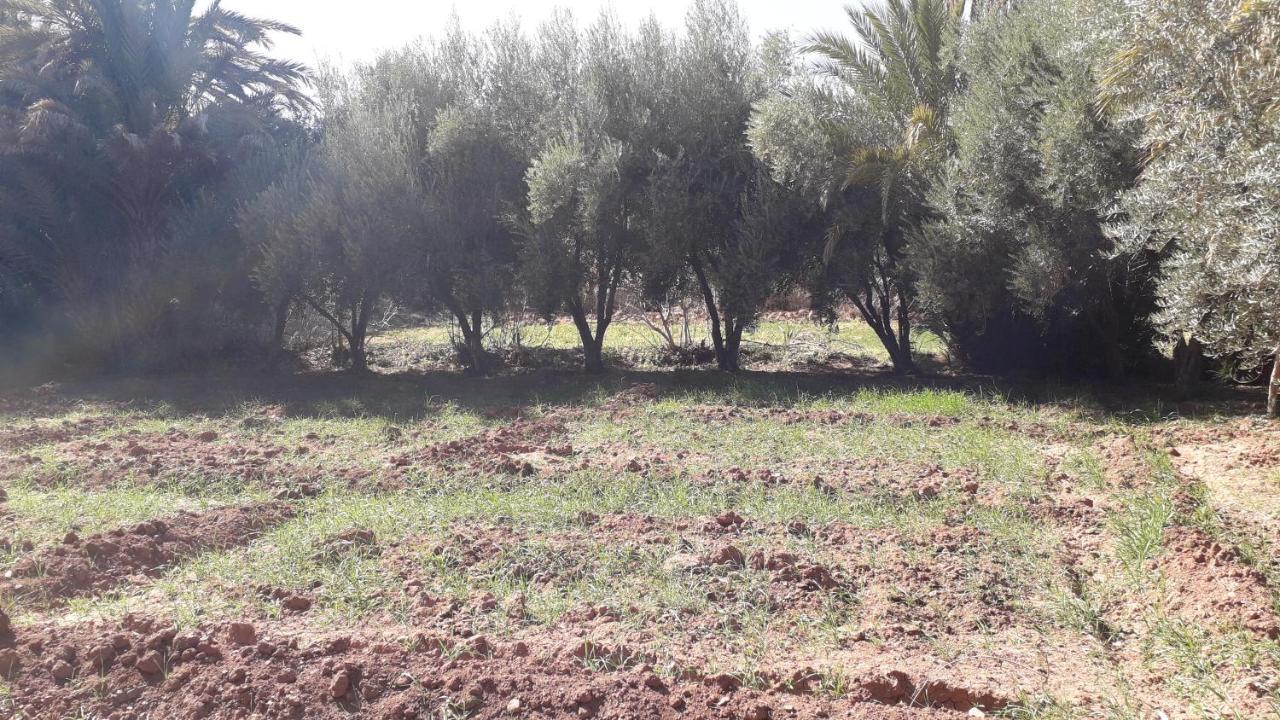 Riad Sarayas Tajda Εξωτερικό φωτογραφία