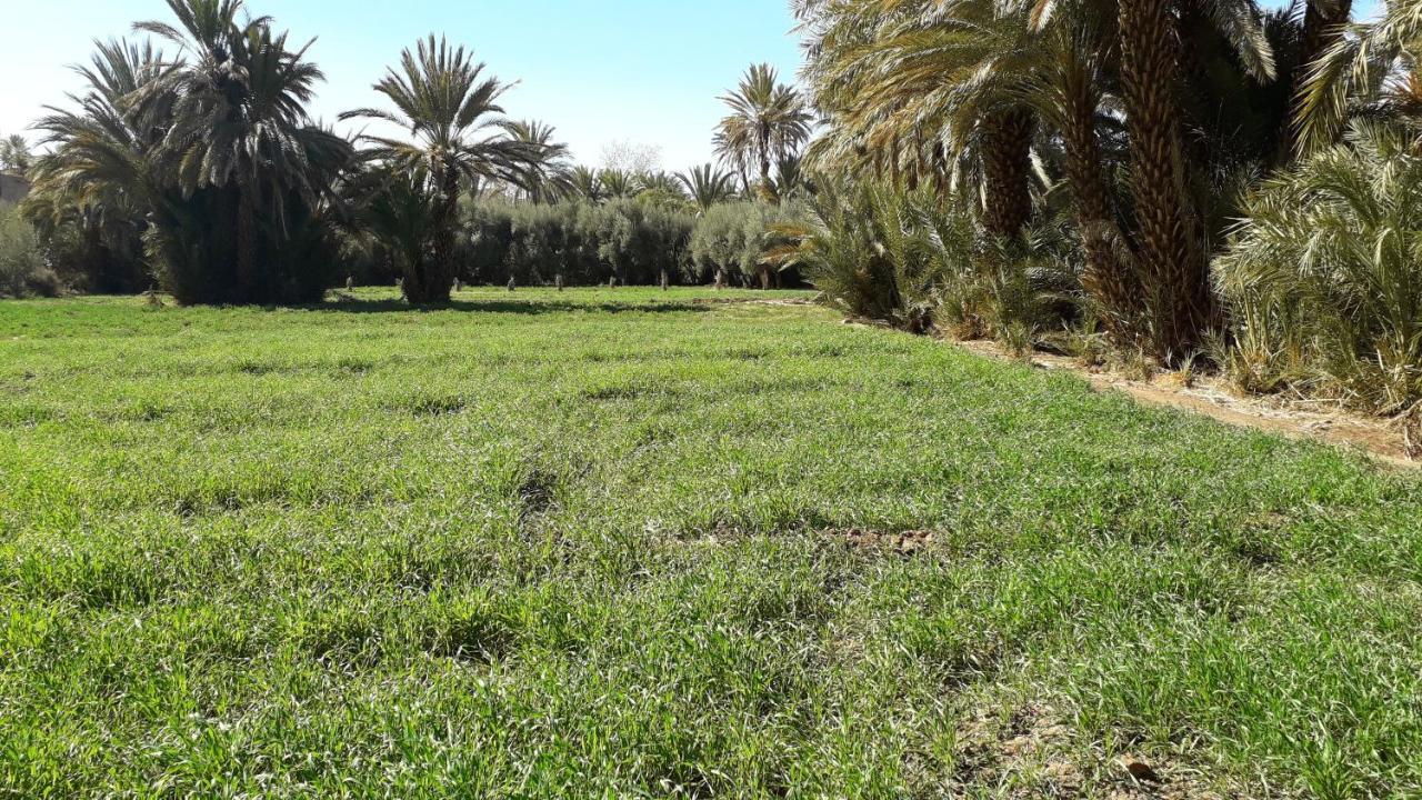 Riad Sarayas Tajda Εξωτερικό φωτογραφία